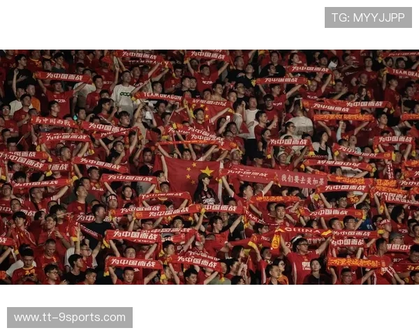 Chinese Taipei出色表现，2024年世界杯赛场表现分析，2024年足球世界杯